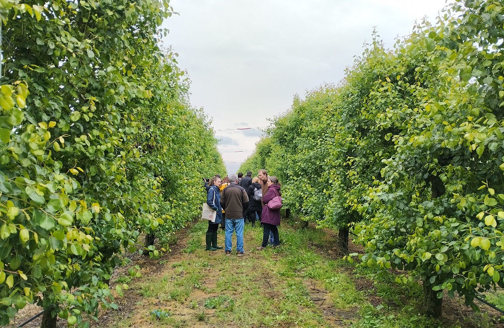 Így állhat talpra egy természeti katasztrófa után a görög mezőgazdaság