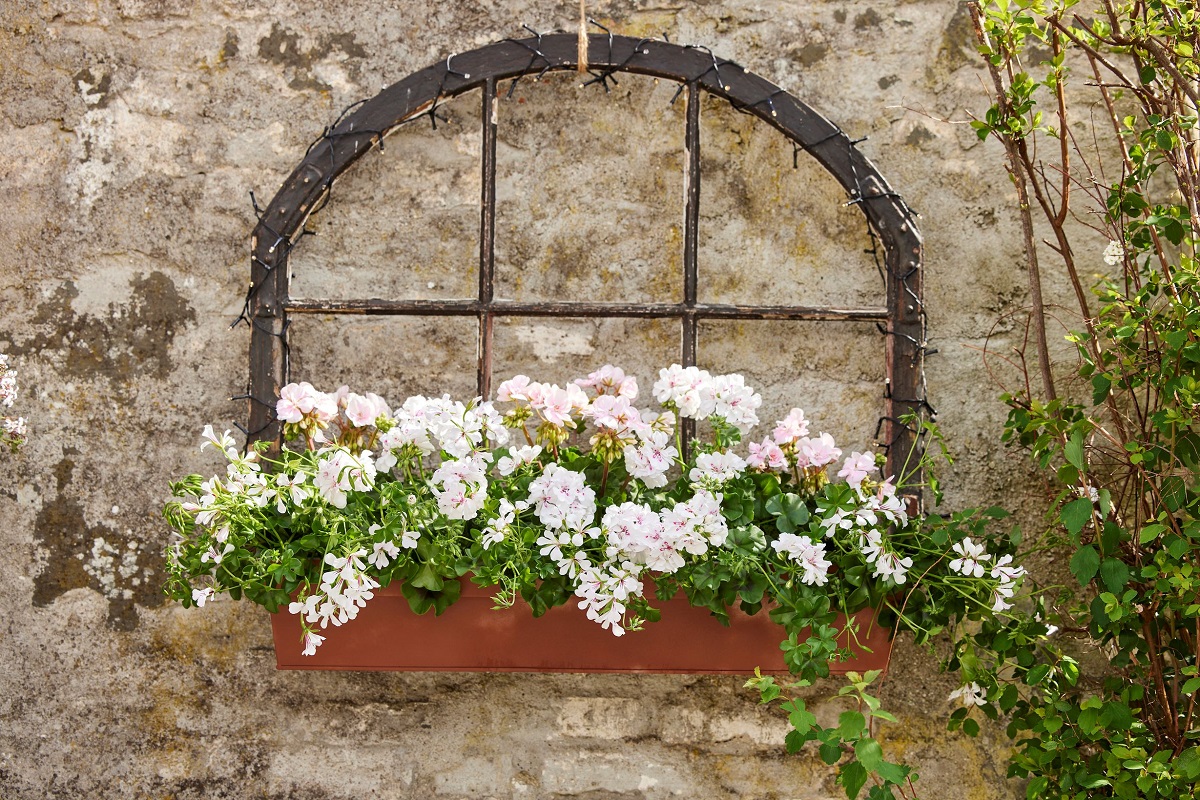 Sz&eacute;ps&eacute;g a t&ouml;k&eacute;letlens&eacute;gben: &iacute;gy dekor&aacute;lj musk&aacute;tlival!