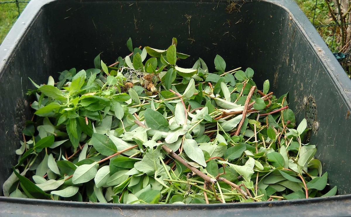 komposzt&aacute;l&aacute;s h&aacute;zilag