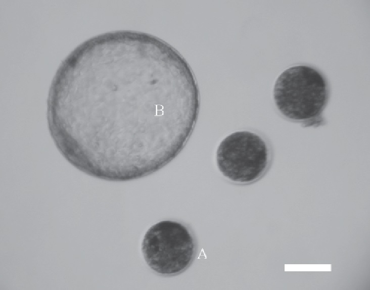 Assziszt&aacute;lt biotechnika haszon&aacute;llatokban &ndash; Kisk&eacute;rődzők &eacute;s lovak sz&aacute;m&aacute;ra is el&eacute;rhető
