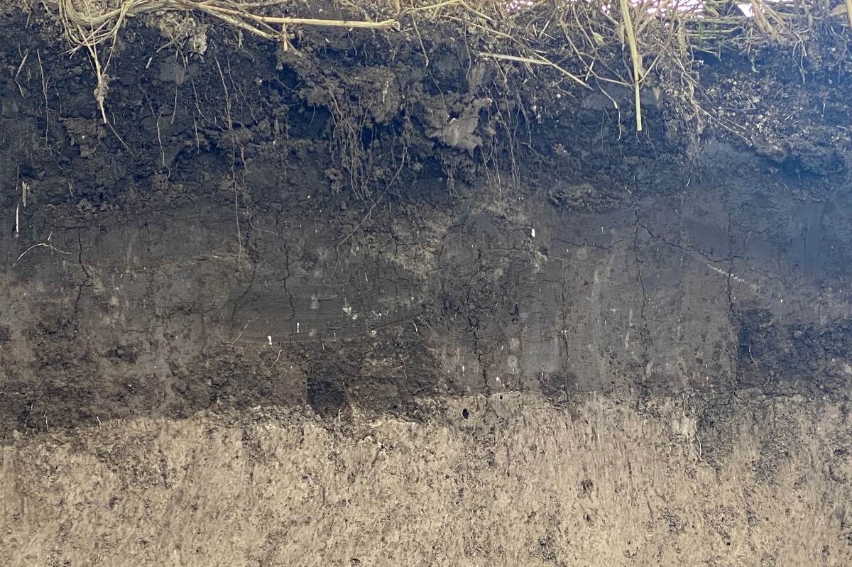 &Iacute;me a Horsch Pronto-elv &ndash; Talajművel&eacute;s, visszat&ouml;m&ouml;r&iacute;t&eacute;s, vet&eacute;s