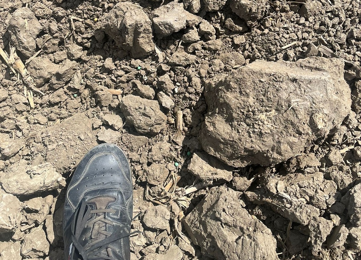 &Iacute;me a Horsch Pronto-elv &ndash; Talajművel&eacute;s, visszat&ouml;m&ouml;r&iacute;t&eacute;s, vet&eacute;s