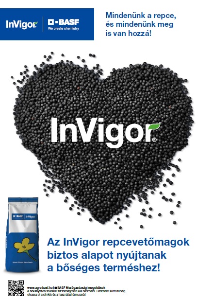 InVigor® repcehibridek a BASF-től