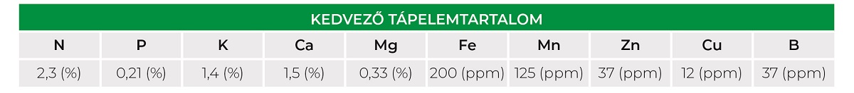 Minden, amit a gy&uuml;m&ouml;lcs&ouml;s&ouml;k lombtr&aacute;gy&aacute;z&aacute;s&aacute;r&oacute;l tudni kell! F&oacute;kuszban az alma