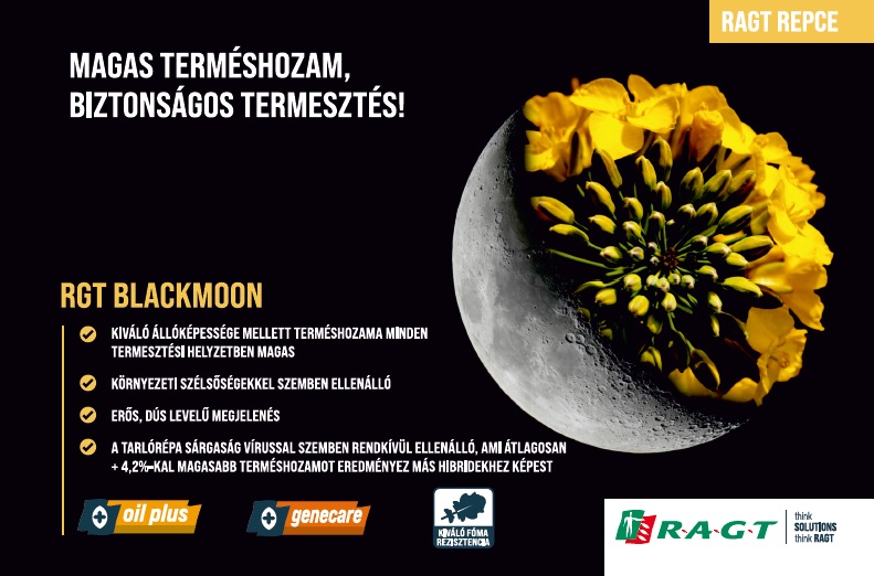 A repcenemesítés idei trendjei