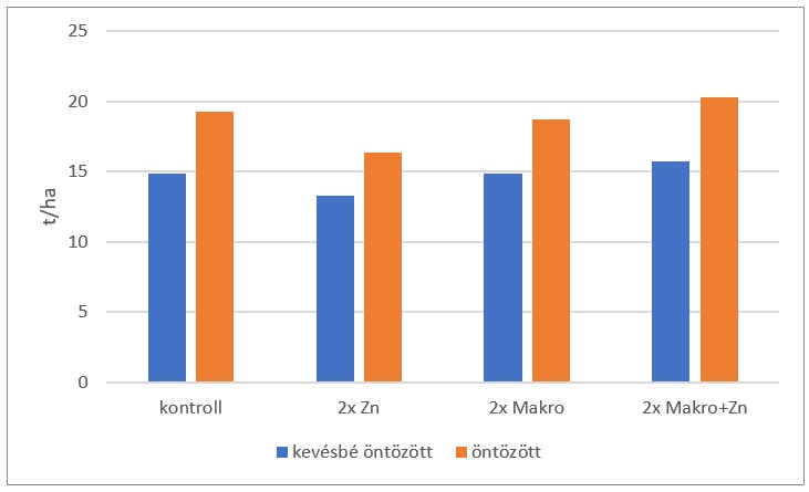 A csemegekukorica termeszt&eacute;s&eacute;nek &eacute;rt&eacute;kel&eacute;se kritikusan asz&aacute;lyos k&ouml;r&uuml;lm&eacute;nyek k&ouml;z&ouml;tt