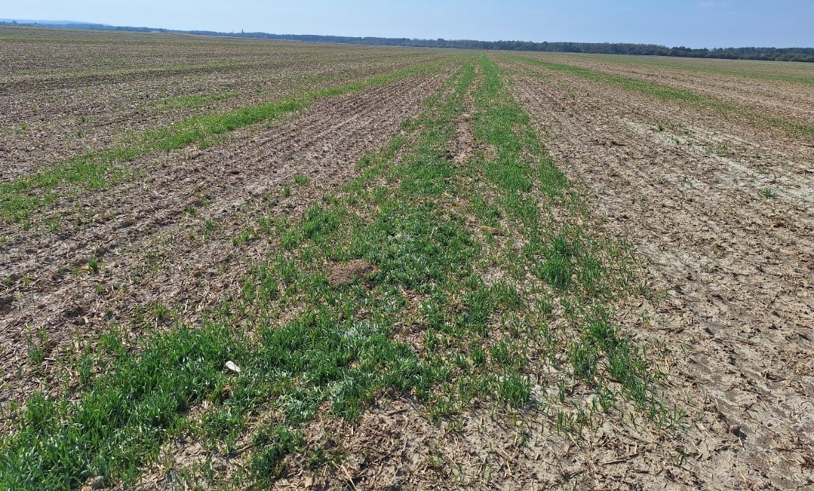 Megb&iacute;zhat&oacute;s&aacute;g &eacute;s hat&eacute;konys&aacute;g a Pantera 40EC-vel ősszel is!