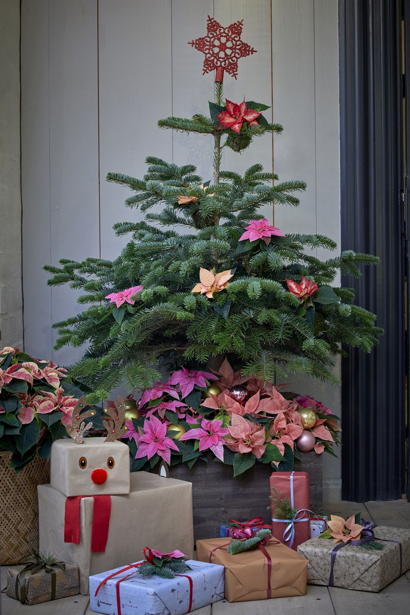 Hogyan h&oacute;d&iacute;totta meg a mikul&aacute;svir&aacute;g az &uuml;nnepeket?