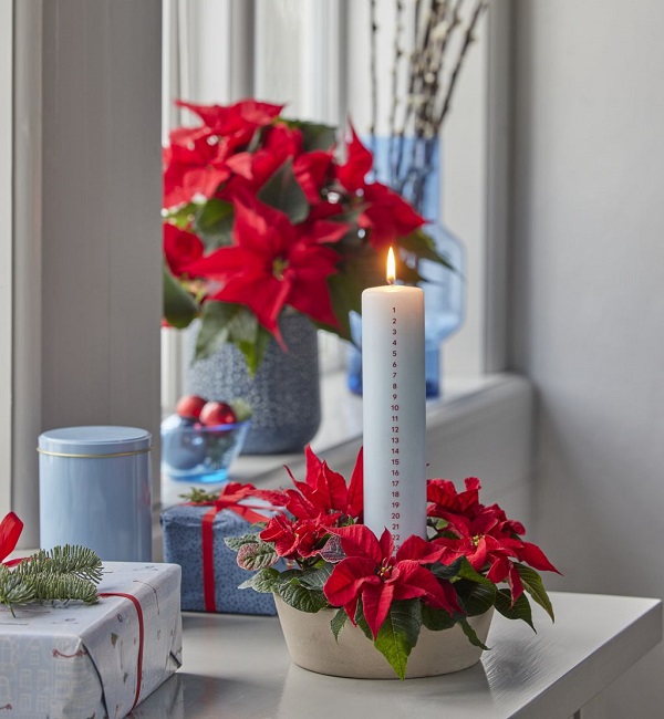 Soksz&iacute;nű aj&aacute;nd&eacute;kok mikul&aacute;svir&aacute;ggal &ndash; &Iacute;gy ezer &aacute;rnyalatban ragyoghat az &uuml;nnep