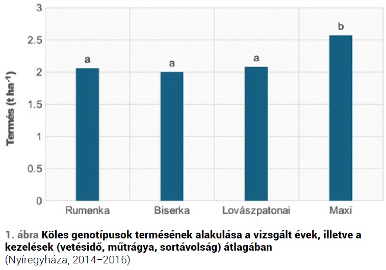 A köles, mint alternatív növény jelentősége a korszerű táplálkozásban, termesztéstechnológiájának fejlesztési lehetőségei