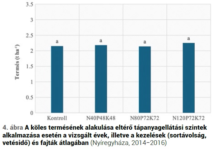 A köles, mint alternatív növény jelentősége a korszerű táplálkozásban, termesztéstechnológiájának fejlesztési lehetőségei