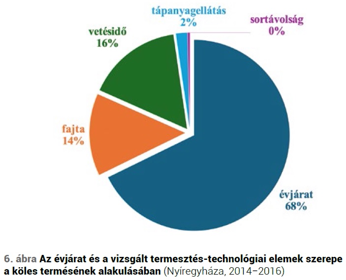 A köles, mint alternatív növény jelentősége a korszerű táplálkozásban, termesztéstechnológiájának fejlesztési lehetőségei