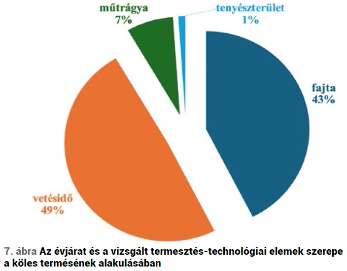 A köles, mint alternatív növény jelentősége a korszerű táplálkozásban, termesztéstechnológiájának fejlesztési lehetőségei