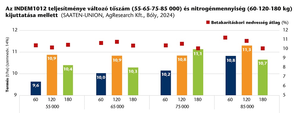 Íme, egy új, stressztűrő kukorica, kiugró termőképességgel