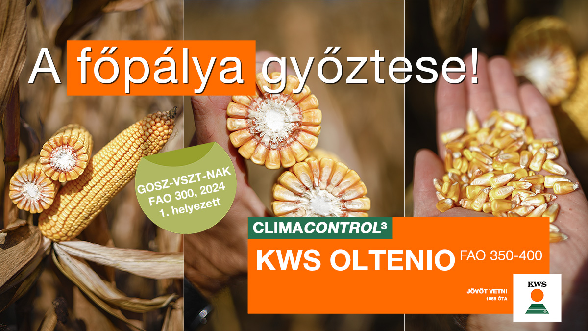 KWS OLTENIO a főp&aacute;lya győztese! 