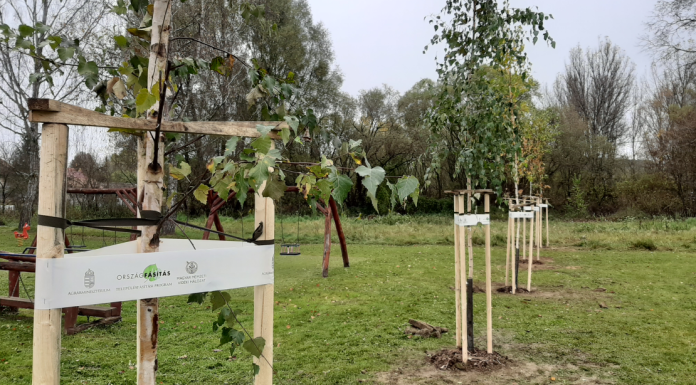  Id&eacute;n is folytat&oacute;dik a magyar telep&uuml;l&eacute;sek z&ouml;ld&iacute;t&eacute;se