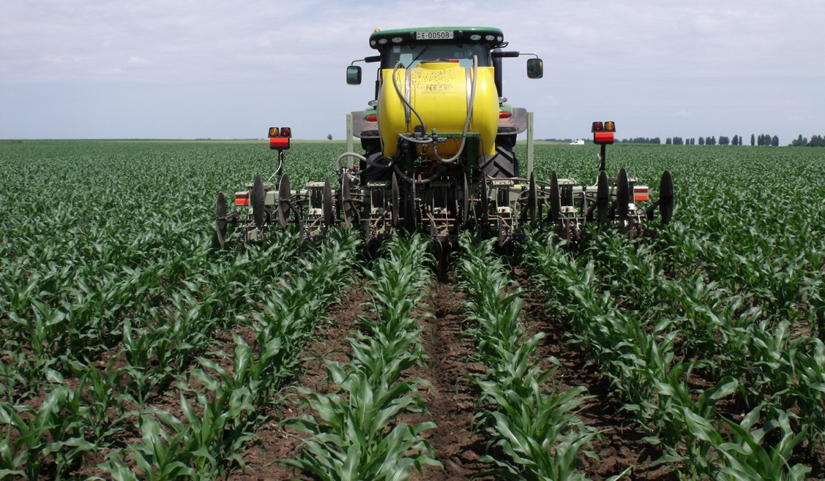 Sz&aacute;nt&oacute;f&ouml;ldi n&ouml;v&eacute;nytermeszt&eacute;s&uuml;nk &ndash; Ennek eredm&eacute;nyei a kl&iacute;mav&aacute;ltoz&aacute;s t&uuml;kr&eacute;ben az ut&oacute;bbi k&eacute;t &eacute;vben (2023&minus;2024)