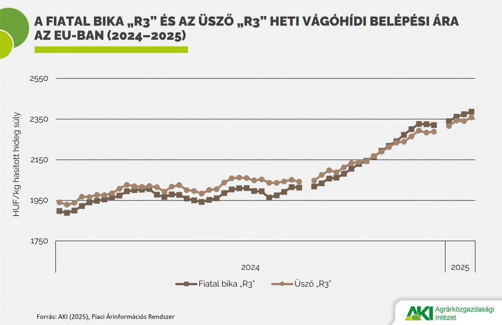 Tovább emelkedik a vágómarha termelői ára
