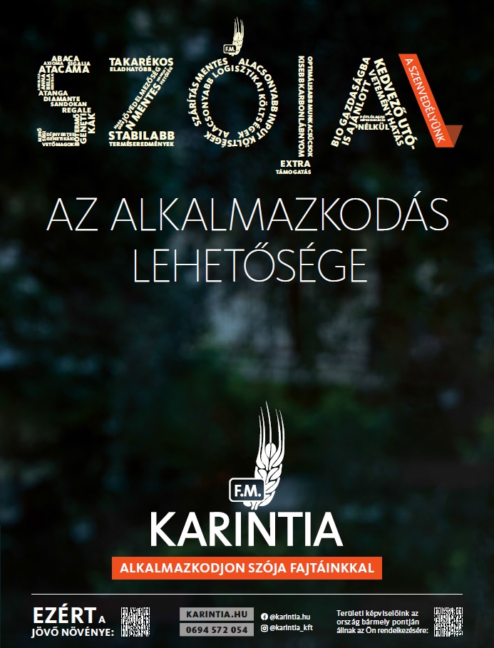 Meglepetésnövény – Kiugró év lett 2024 a hazai szójatermesztésben?
