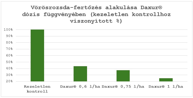 Egyensúly a szakértelem és a megfizethetőség között