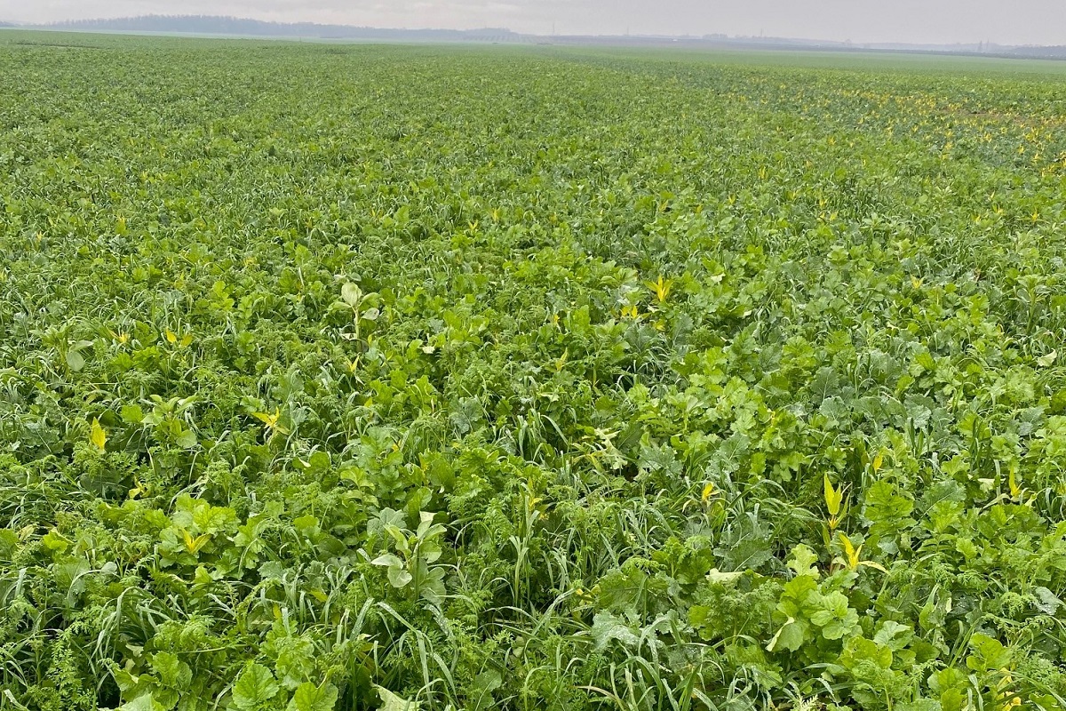 Talaj- és növényvédelem a HORSCH gépeivel – Talajműveléstől a permetezésig 