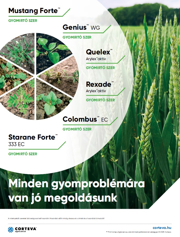 V&aacute;ltoz&aacute;sok a traktorok energiaell&aacute;t&aacute;s&aacute;ban (5.) &ndash; A New Holland g&aacute;zmotoros traktorai