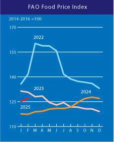 A FAO &eacute;lelmiszer&aacute;r-indexe 2025 febru&aacute;rj&aacute;ban emelkedett a cukor, a tejterm&eacute;kek &eacute;s a n&ouml;v&eacute;nyi olaj &aacute;rai miatt