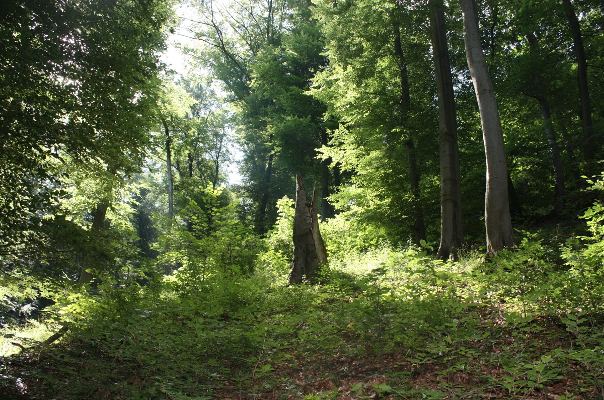 Magyar-szlov&aacute;k szakmai &ouml;sszefog&aacute;s az ember &eacute;s a bioszf&eacute;ra kapcsolat&eacute;rt