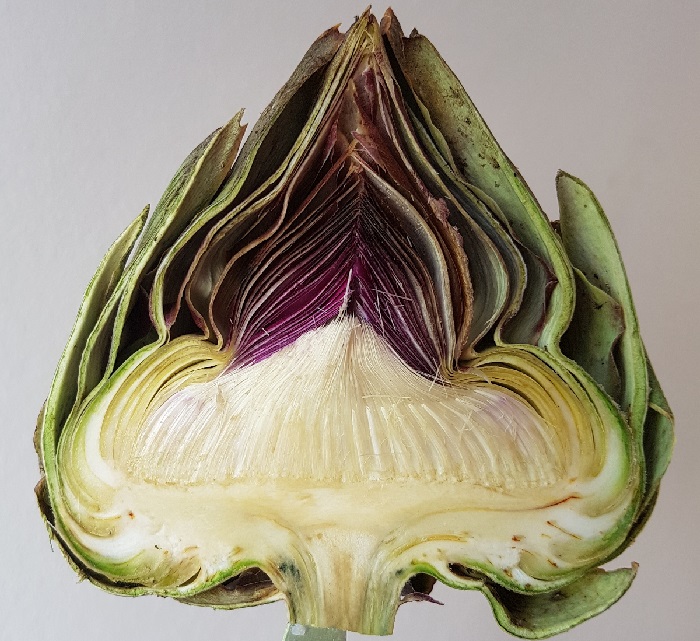 Az artics&oacute;ka &ndash; Gy&uuml;m&ouml;lcs &eacute;s z&ouml;lds&eacute;g kult&uacute;r&aacute;k &uacute;j lak&oacute;i 1. r&eacute;sz