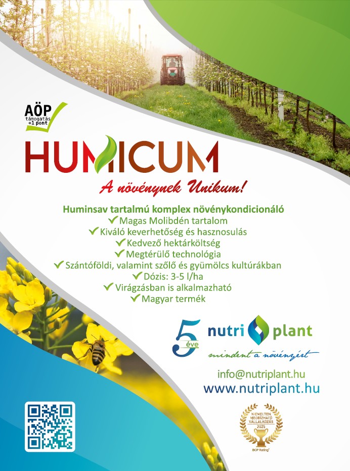 K&aacute;rp&aacute;t-medencei ban&aacute;nsz&uuml;ret