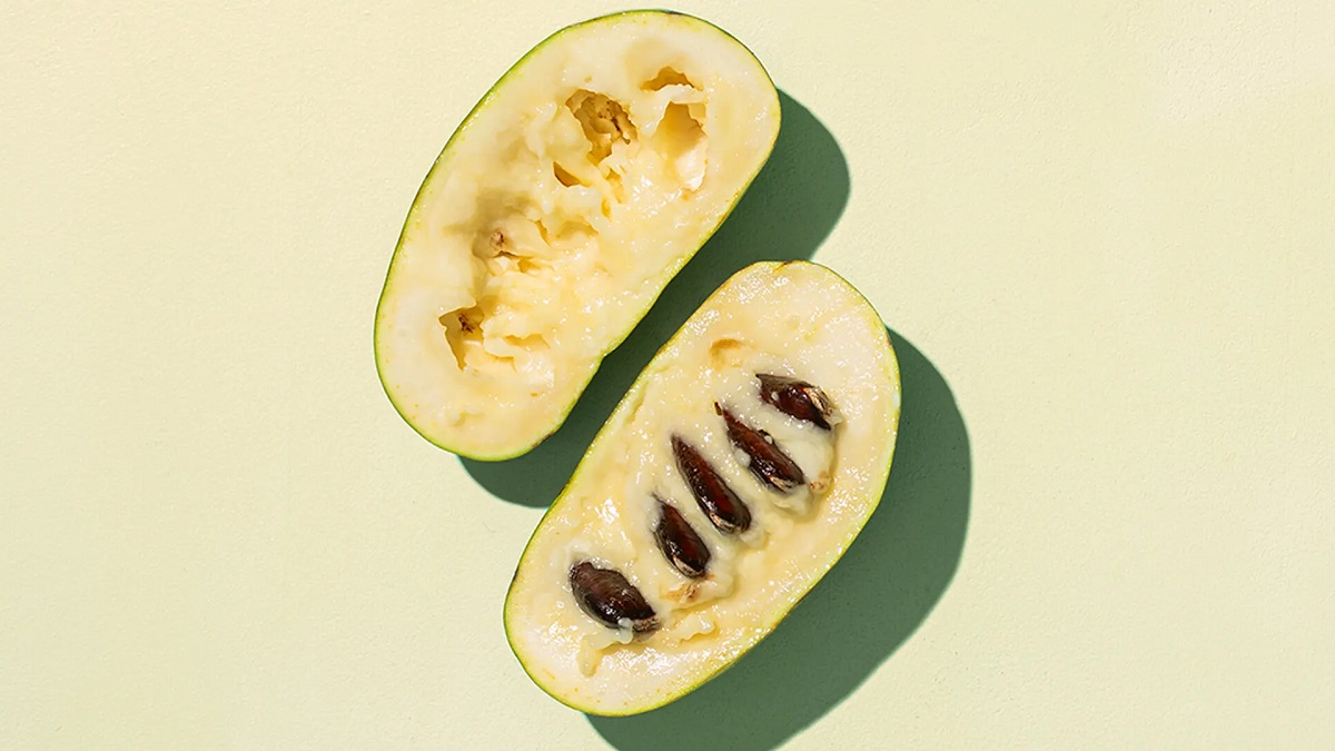 K&aacute;rp&aacute;t-medencei ban&aacute;nsz&uuml;ret