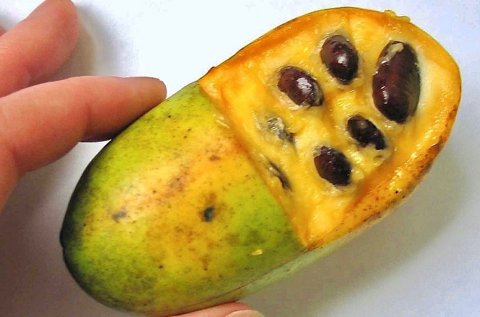 K&aacute;rp&aacute;t-medencei ban&aacute;nsz&uuml;ret