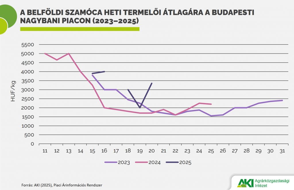 A hazai &eacute;s az import szam&oacute;ca &aacute;ra is emelkedett