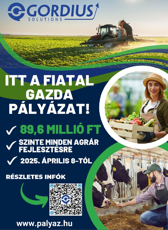 Amit tudni kell 2025-ben a p&aacute;ly&aacute;zati t&aacute;mogat&aacute;sokr&oacute;l!