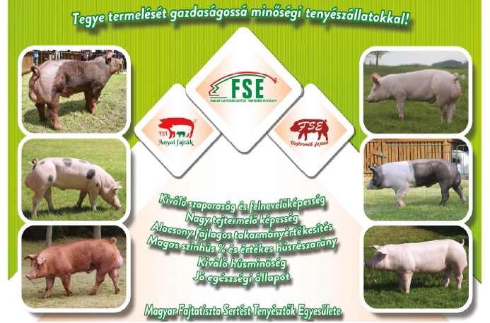  &bdquo;Ha j&oacute; a teh&eacute;nnek, az a gazdas&aacute;gnak is j&oacute;&rdquo;