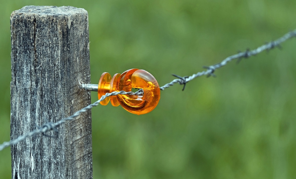 Mezőgazadas&aacute;gi vadk&aacute;rok megelőz&eacute;se, cs&ouml;kkent&eacute;se, k&uuml;l&ouml;nb&ouml;ző m&oacute;dszerekkel (2. r&eacute;sz)