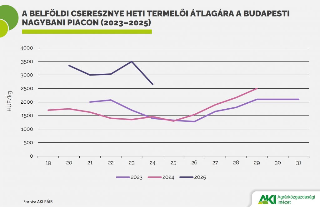 Jelentősen dr&aacute;g&aacute;bb a cseresznye id&eacute;n