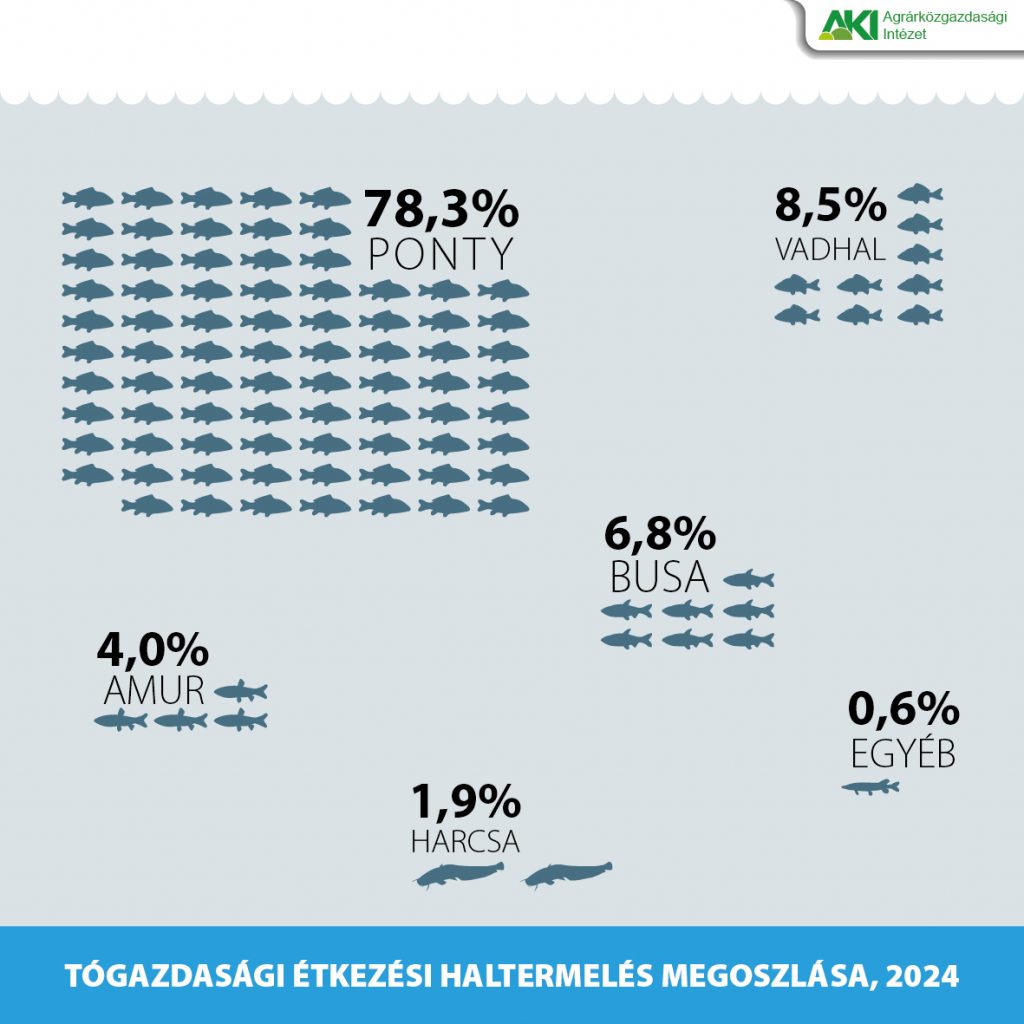 Nőtt a hazai tógazdasági haltermelés 2024-ben