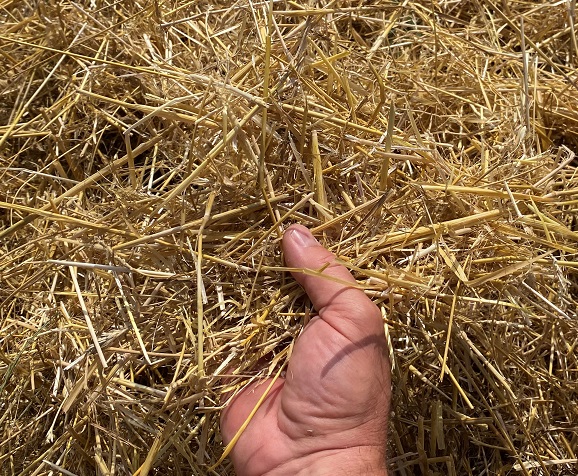 Talajreform a Horsch gépek használatával – Hosszú távon nyereséges lesz a mezőgazdaságunk vagy hibernálunk? 