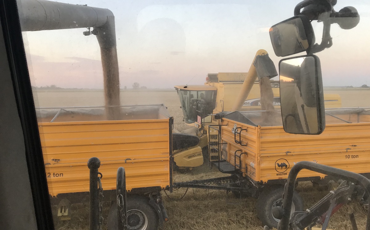 Szívós, mint a kétpúpú teve – WIELTON PRS-W gabonaszállító pótkocsi