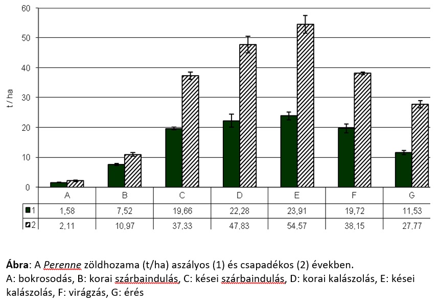 Az &eacute;velő rozs &uacute;j faj: Secale cereanum &ndash; A Perenne &eacute;s Gergő fajt&aacute;k ism&eacute;rveinek le&iacute;r&aacute;sa, termeszt&eacute;s&eacute;nek felt&eacute;telei