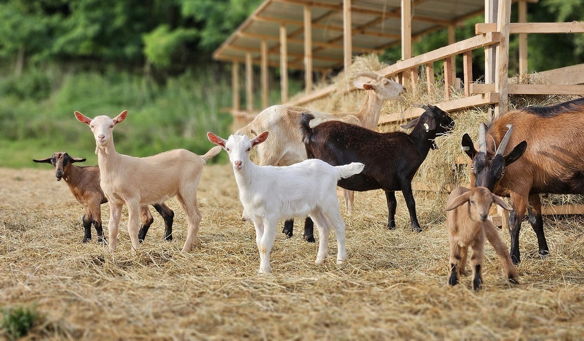 Indul a Nyitott Porta Napok 2025 &ndash; K&oacute;stolj bele t&aacute;jr&oacute;l-t&aacute;jra!