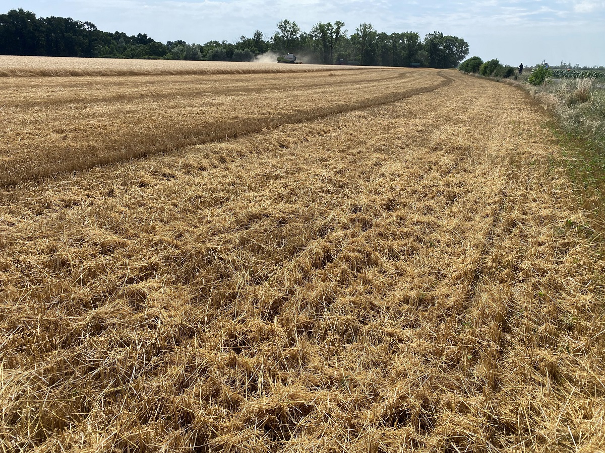 HORSCH gépekkel az új típusú talajművelésben