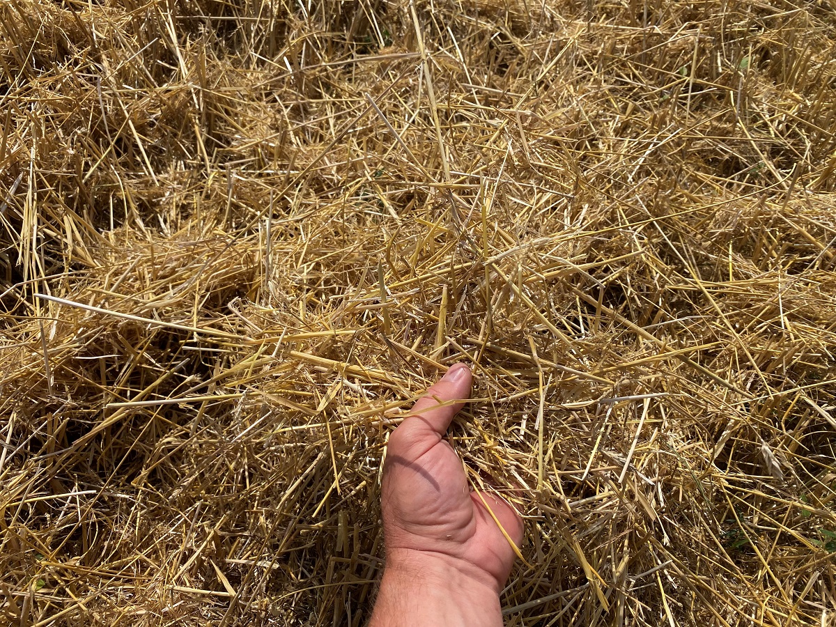 HORSCH gépekkel az új típusú talajművelésben