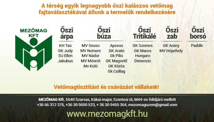 Mi lesz veled repce? – Kártevők az őszi repcetáblán