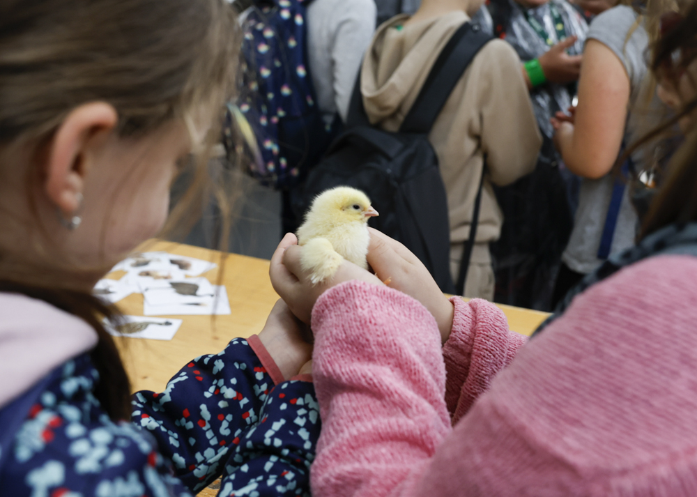 Trad&iacute;ci&oacute; &eacute;s innov&aacute;ci&oacute;, szakma &eacute;s sz&oacute;rakoz&aacute;s &ndash; 40 ezren a K&Aacute;N Egyetemi Napokon