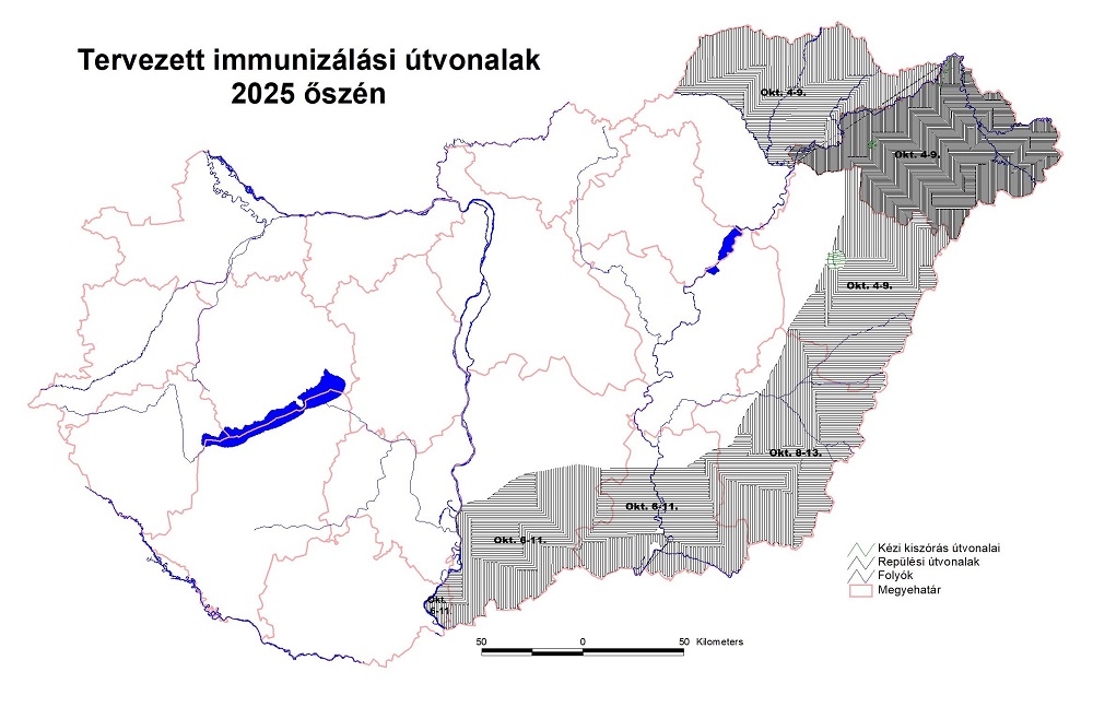 Az idei őszi r&oacute;kavakcin&aacute;z&aacute;s okt&oacute;ber 4-&eacute;n indul