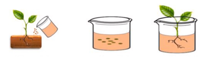 Figyeljünk a vetőmagot segítő mikrobákra (is) az őszi gabona vetésekor!