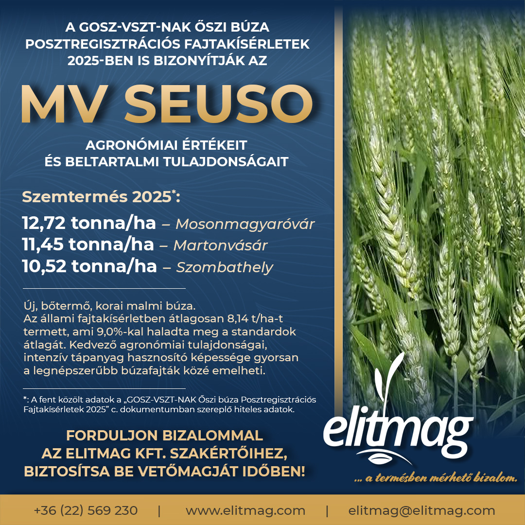 10. éve a csúcson!