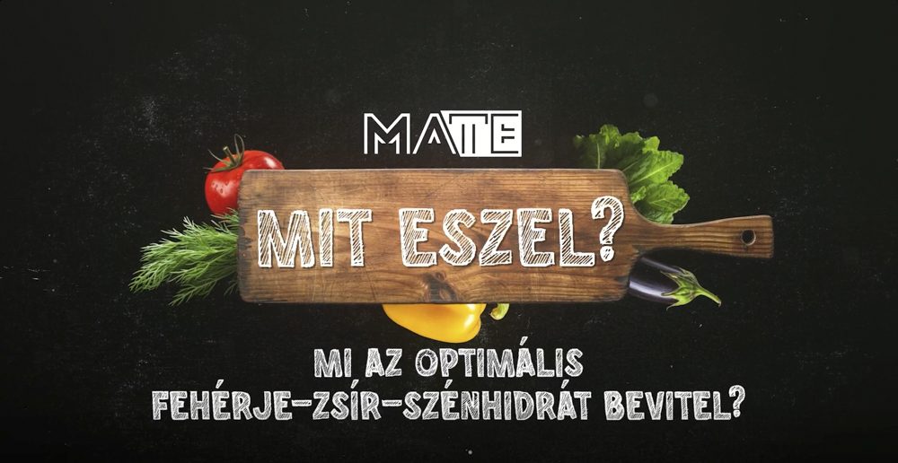 MA TE mit eszel? – Mi az optimális fehérje-zsír-szénhidrát bevitel?
